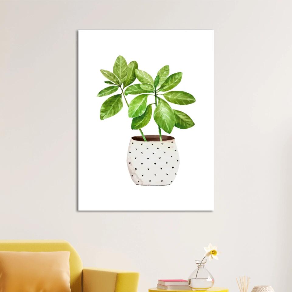 plant
